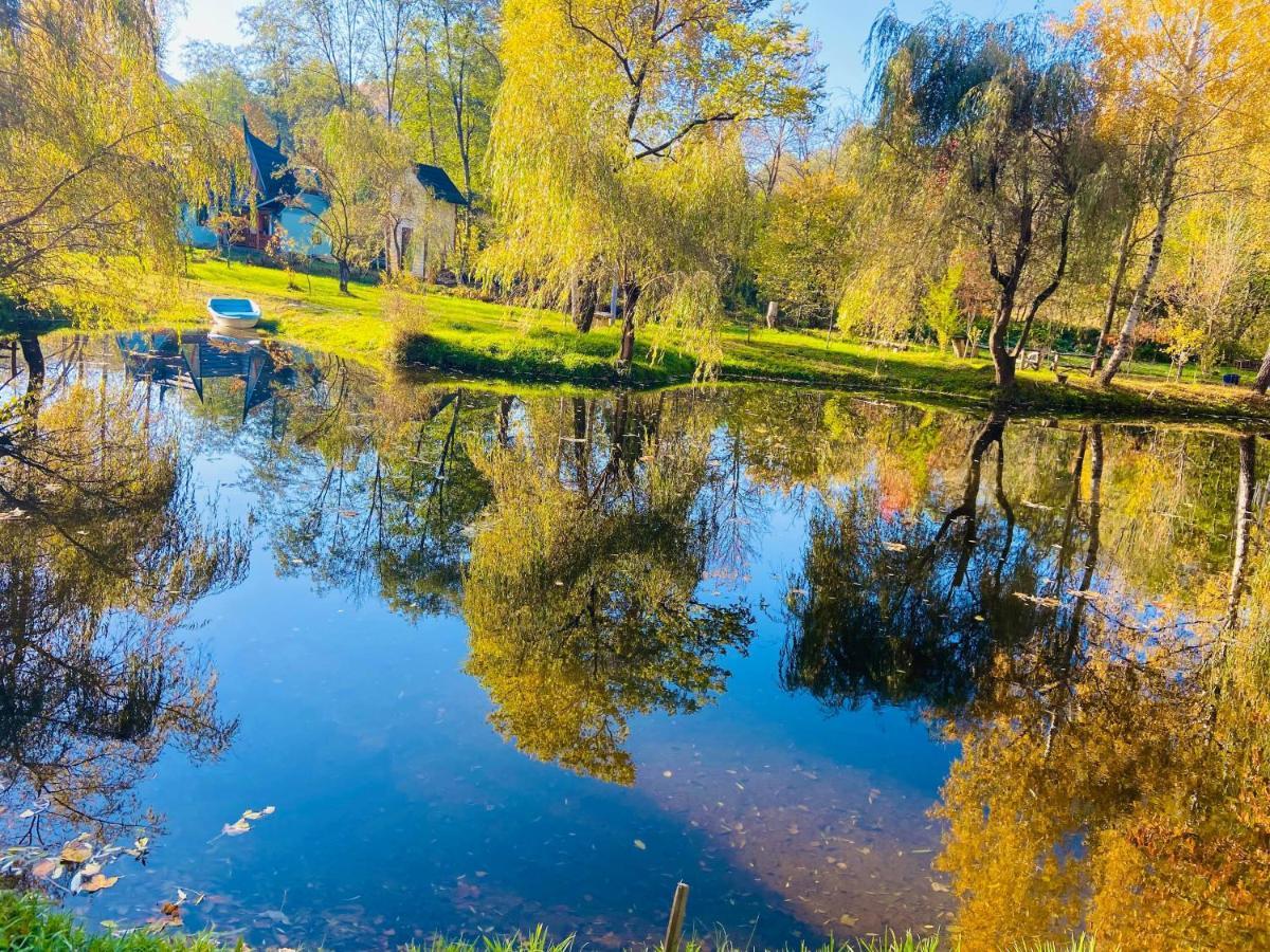 Viewtopia The Secret Land Valea Drăganului Екстериор снимка