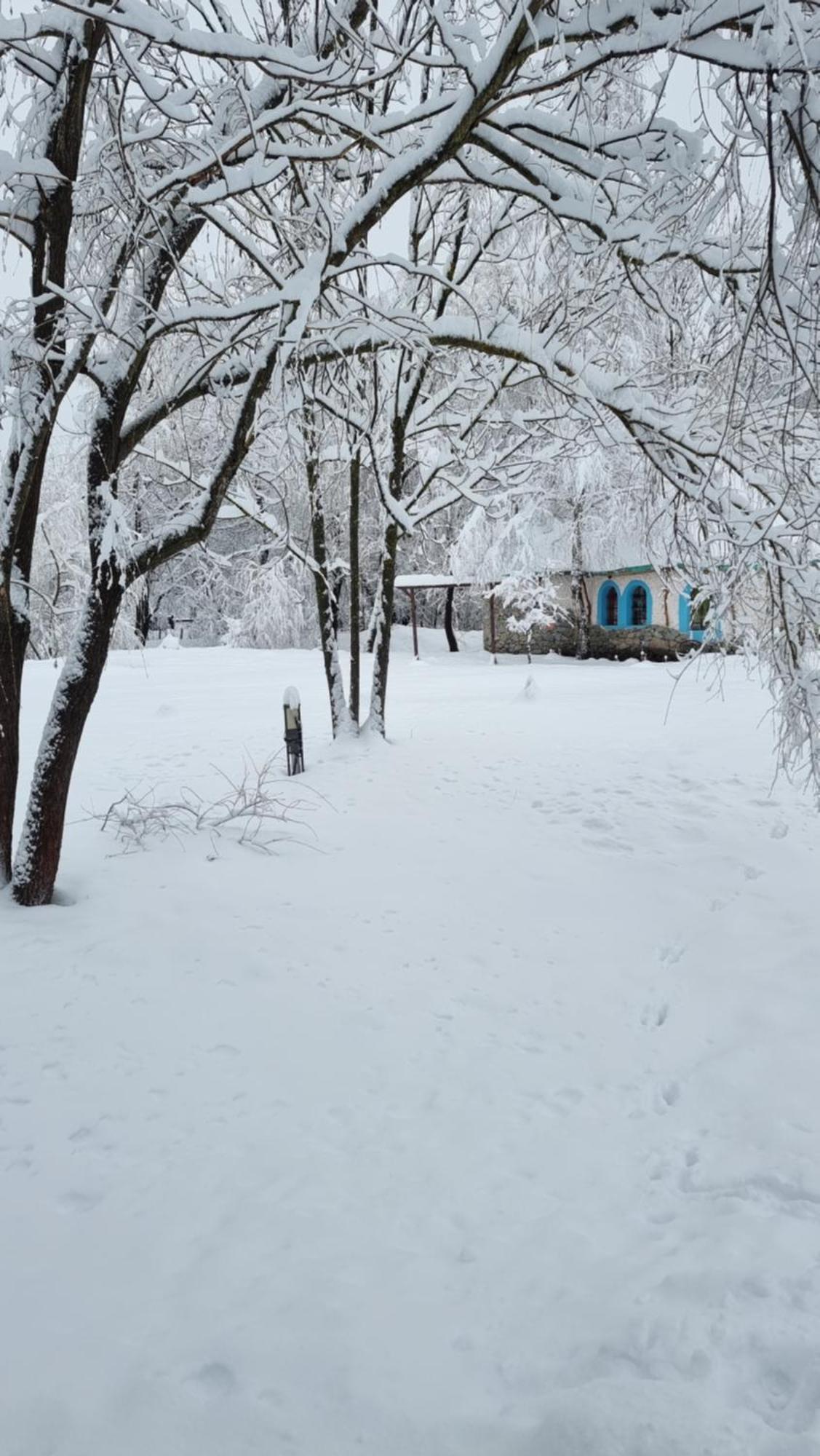 Viewtopia The Secret Land Valea Drăganului Екстериор снимка