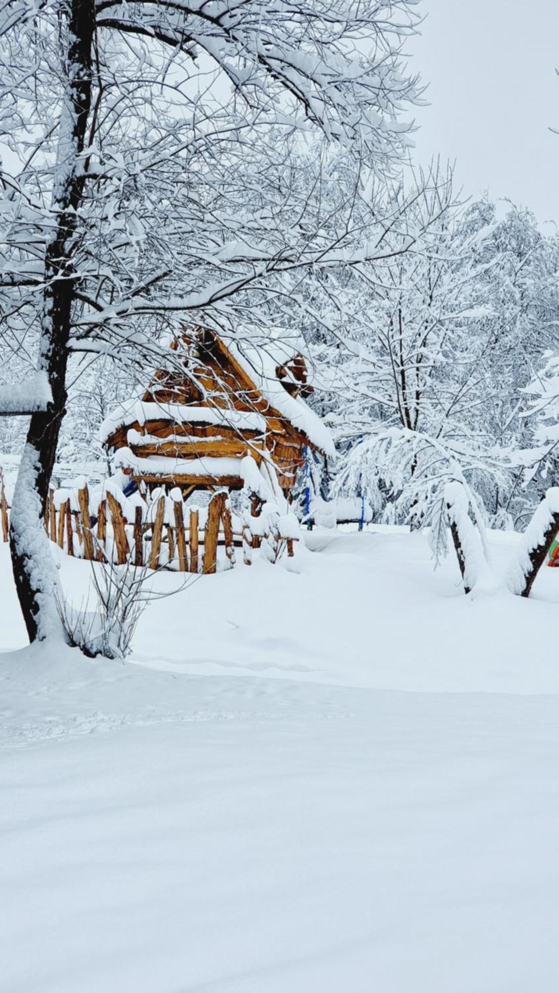 Viewtopia The Secret Land Valea Drăganului Екстериор снимка