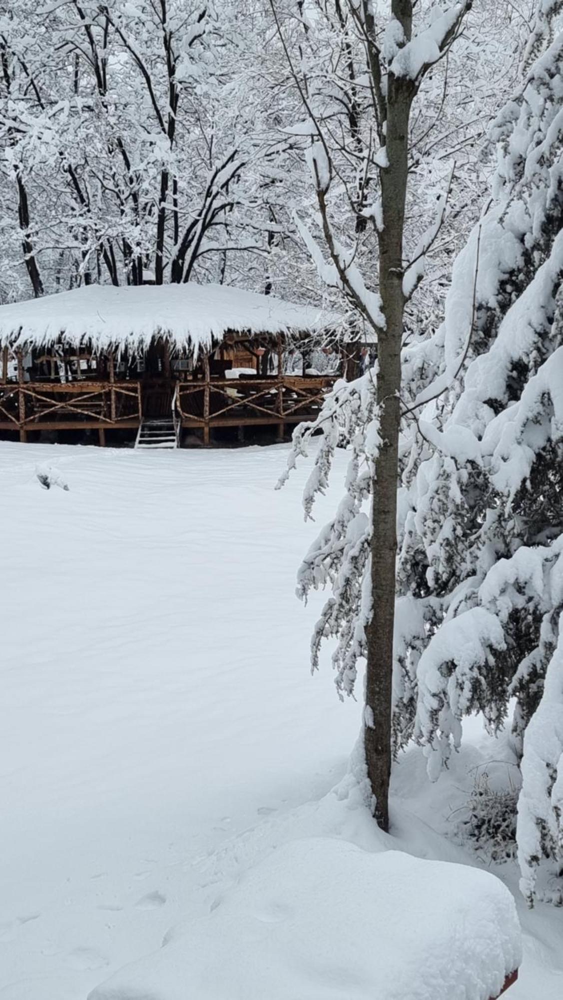 Viewtopia The Secret Land Valea Drăganului Екстериор снимка