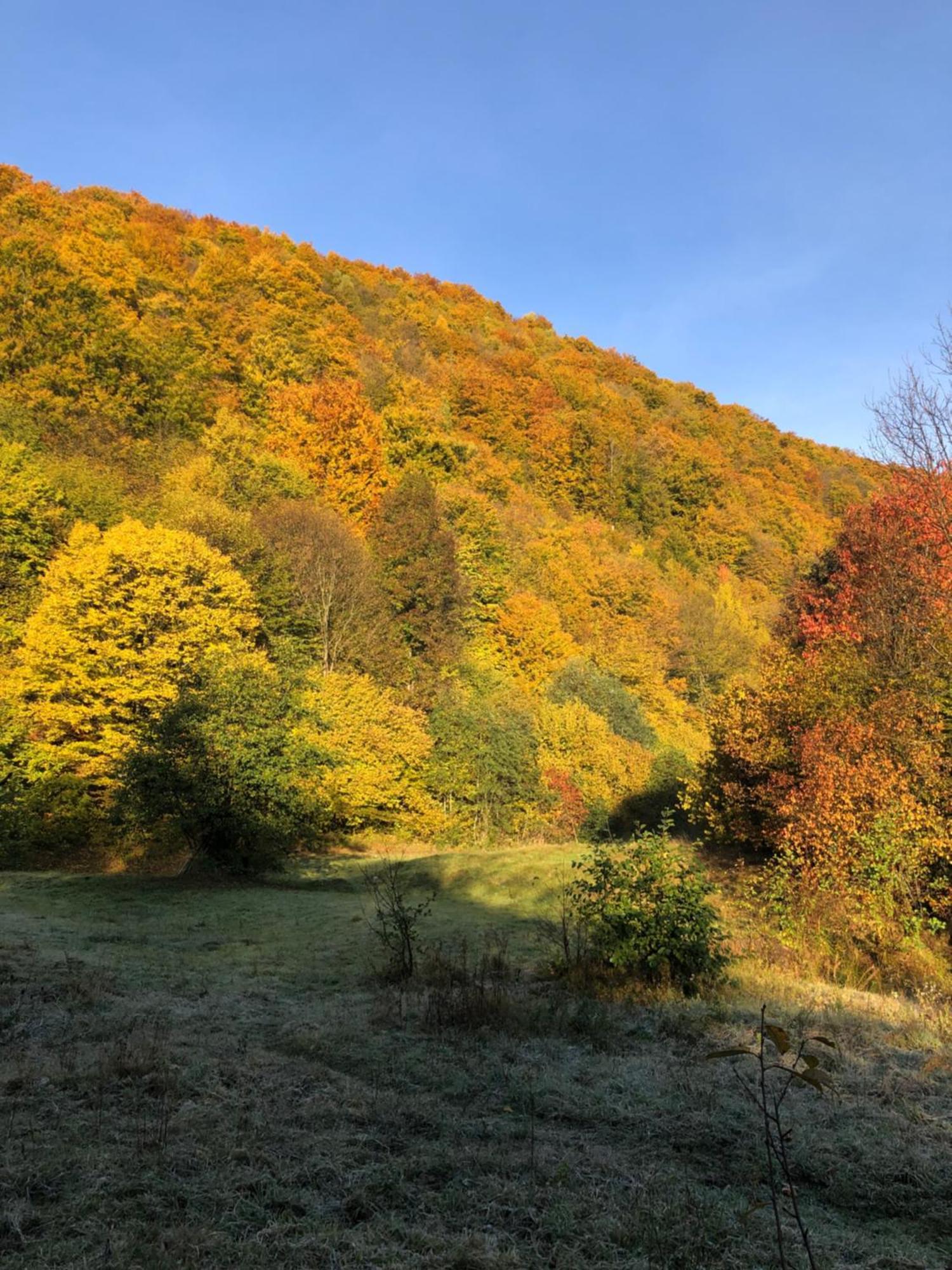 Viewtopia The Secret Land Valea Drăganului Екстериор снимка