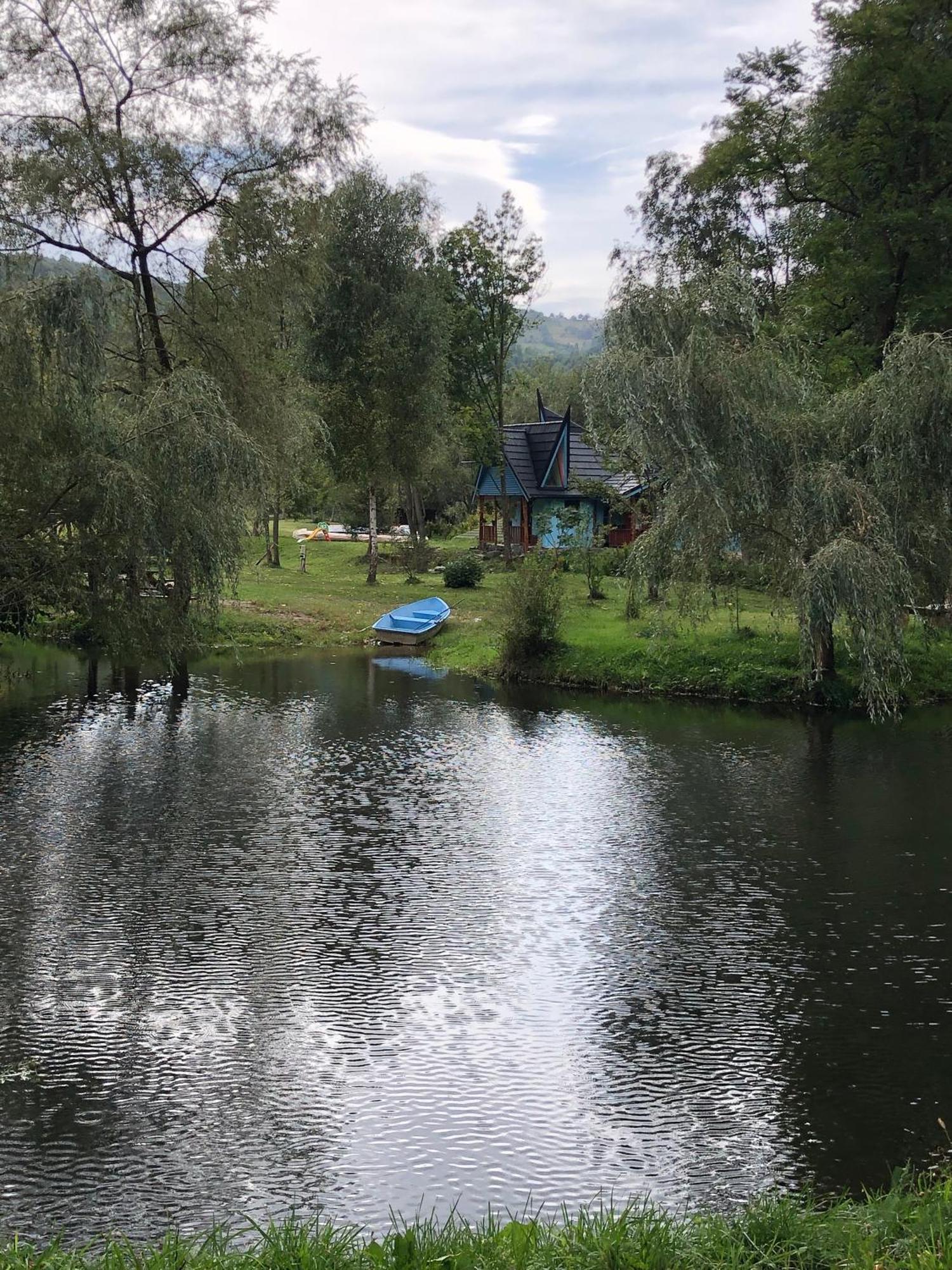 Viewtopia The Secret Land Valea Drăganului Екстериор снимка