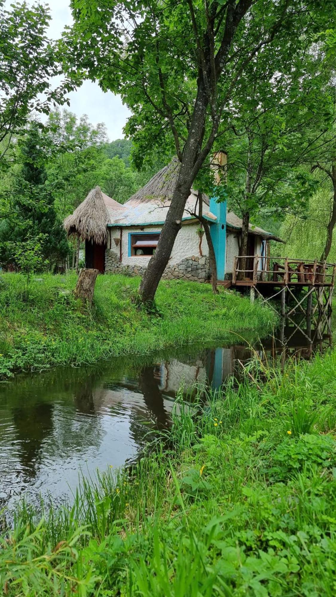 Viewtopia The Secret Land Valea Drăganului Екстериор снимка