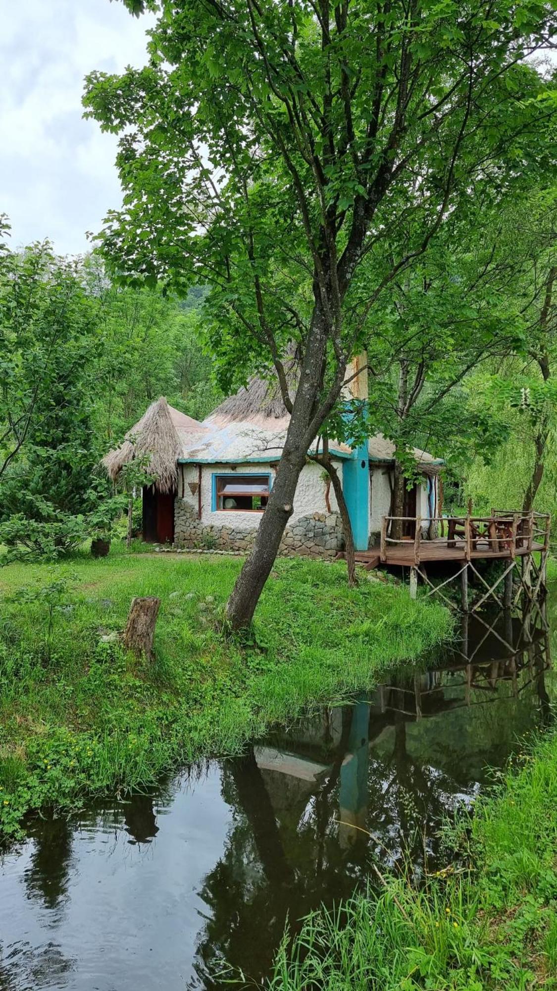Viewtopia The Secret Land Valea Drăganului Екстериор снимка